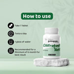 Dr. Satnam's Arogyam Chitrakadi Vati Tablet (60 Each)