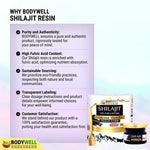 BodyWell Himalayan Shilajit Resin 100% Pure & Natural - 20gm