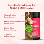 Wishnew Wellness Genius Brain Capsule