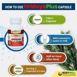 Bodywell Ayurveda HridayaPlus Capsules – Cardiovascular Wellness & Vascular Support – 60 Capsules (500mg)