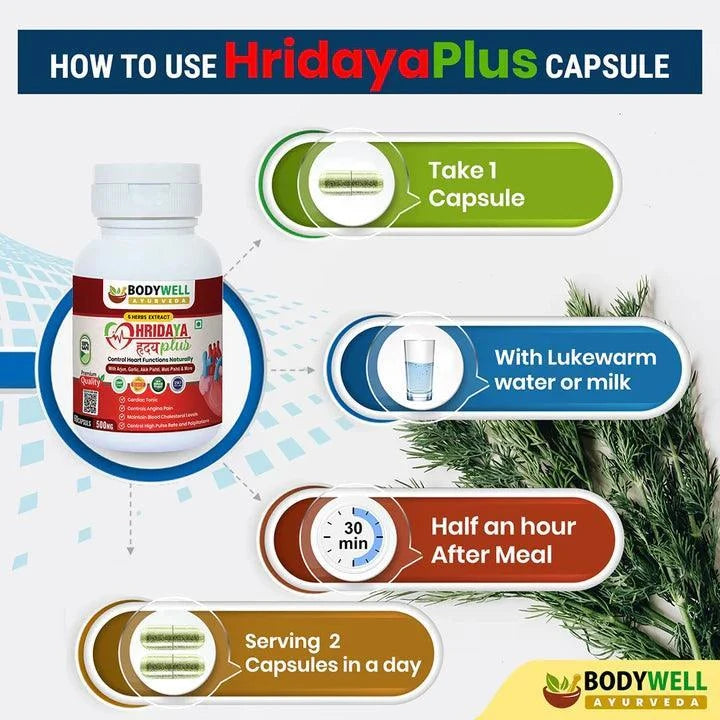 Bodywell Ayurveda HridayaPlus Capsules – Cardiovascular Wellness & Vascular Support – 60 Capsules (500mg)