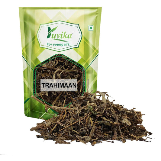 YUVIKA Trahimaan - tarahiman - Gentiana kurroo Royle