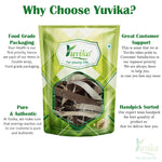 YUVIKA Falsa Chilka - Phalsa Chilka - Grewia asiatica