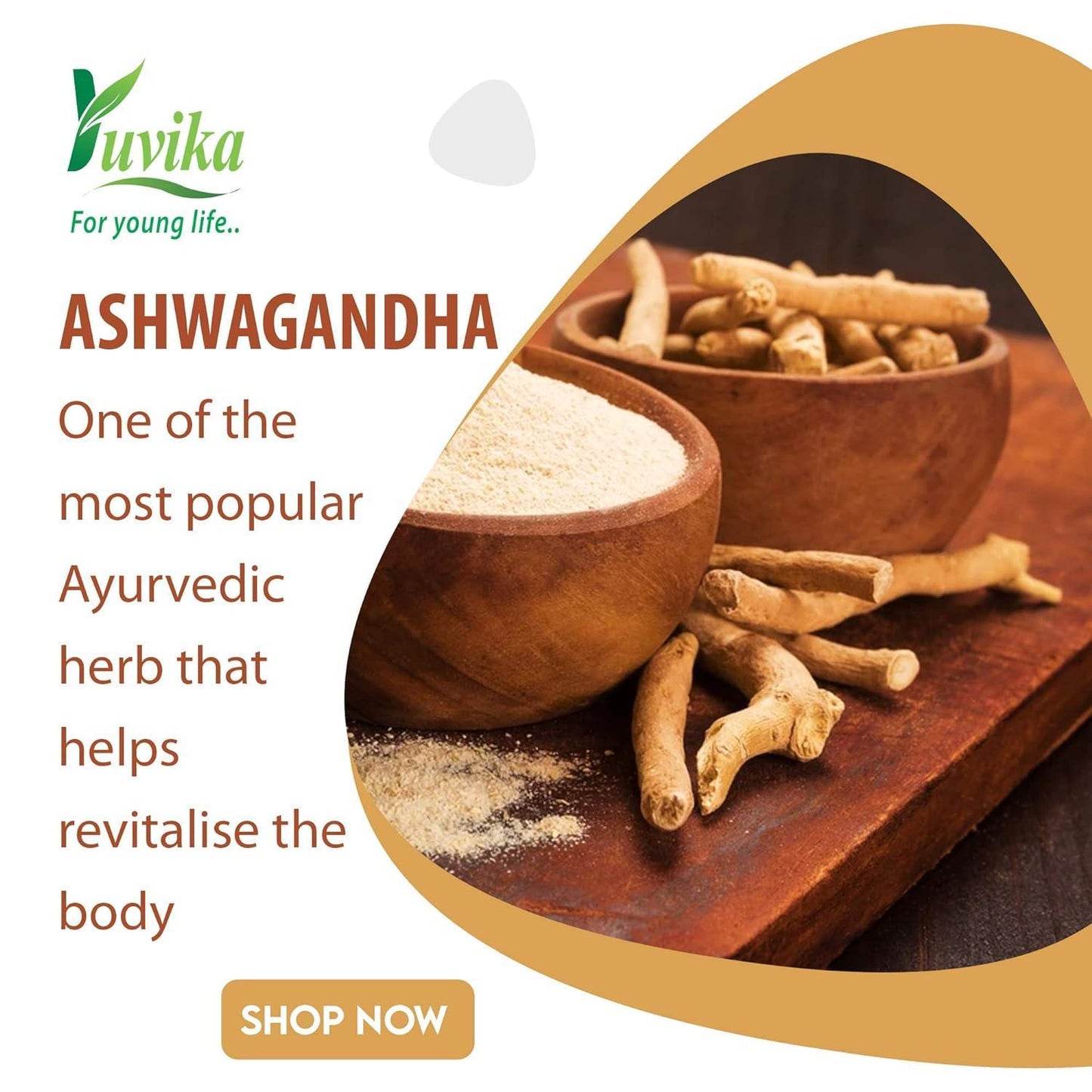 Yuvika Ashwagandha - Asgandh - Withania Somnifera