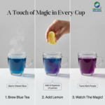 Organic Wellness 100% Natural Herbal Tea Butterfly Pea Flower Tea I Caffeine Free for Stress Relief I Memory Boosting Tea | Calming Tea, Brain Stimulant, Rich in Antioxidants (50 Gm)