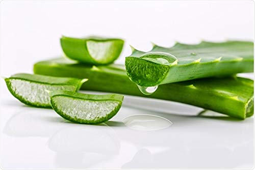Kerala Naturals  Aloe vera clear gel | Pure transparent multipurpose gel | For Face, Body and Hair – 100 gm