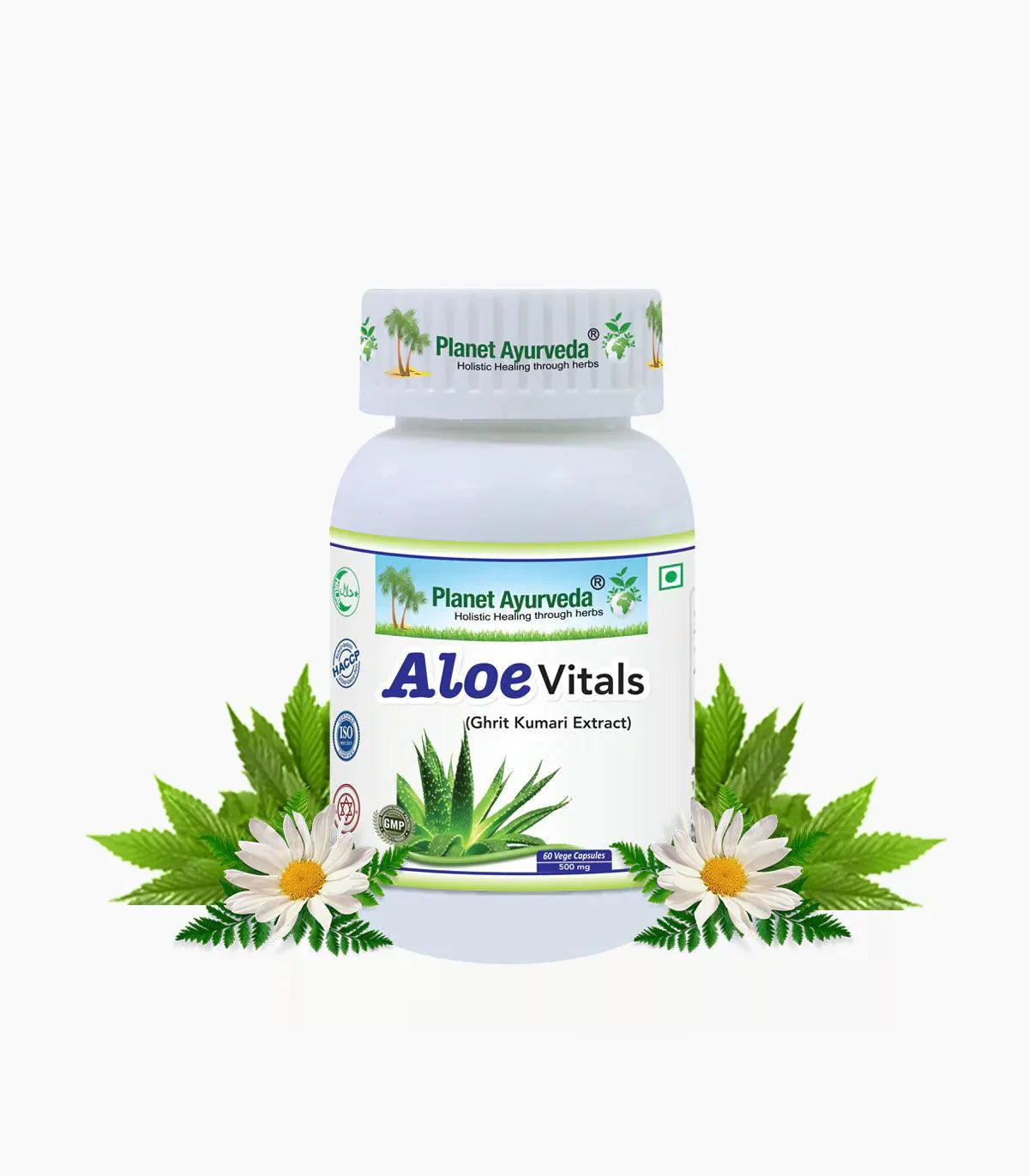 Planet Ayurveda Aloe Vitals Capsules, 60 Count - Pure Herbal Skin & Gut Care