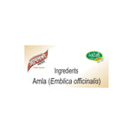 Pack of 2 Amalki Rasayan churna 100gm for Digestion & Antioxidant Support.