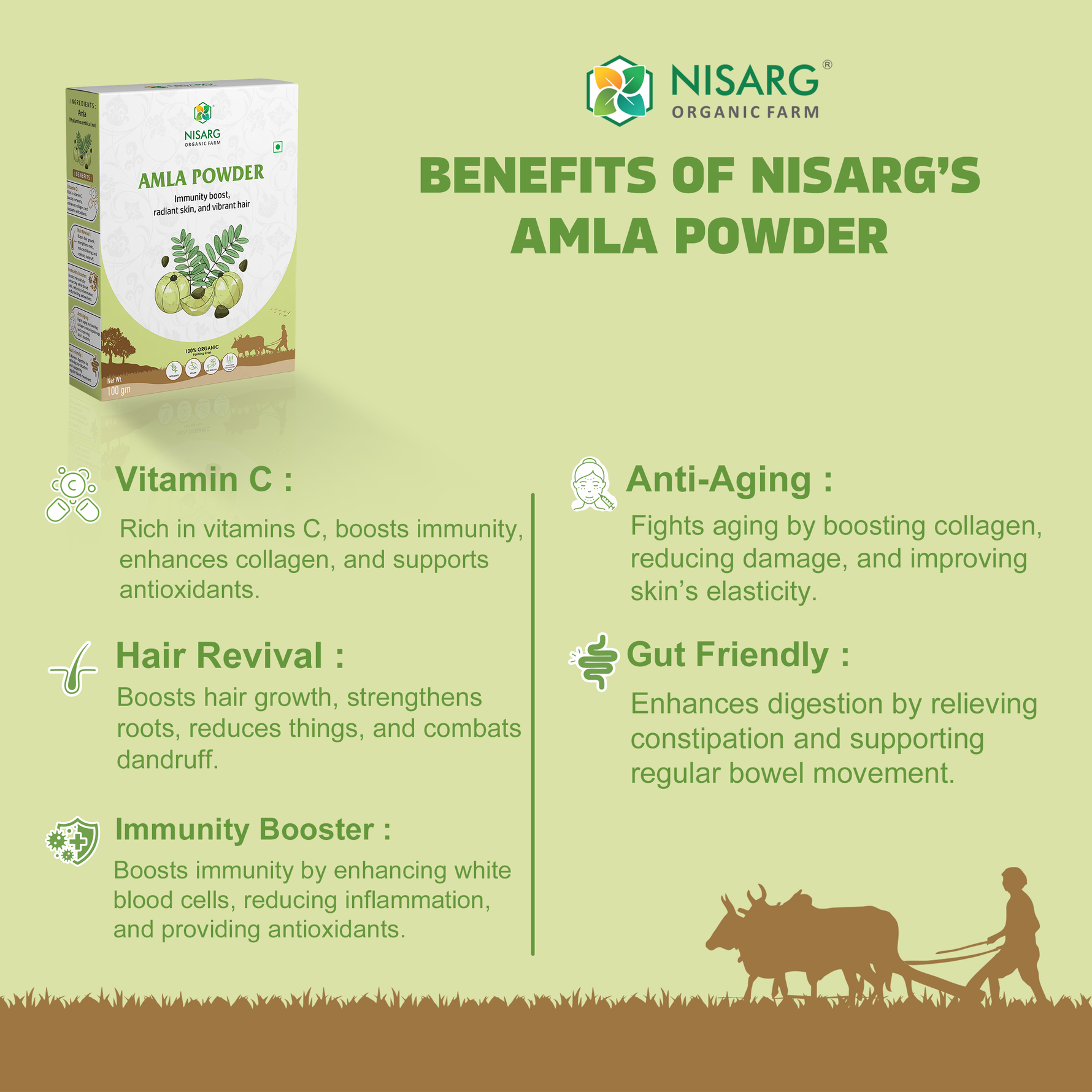 Nisarg Organic Farm Amla Powder