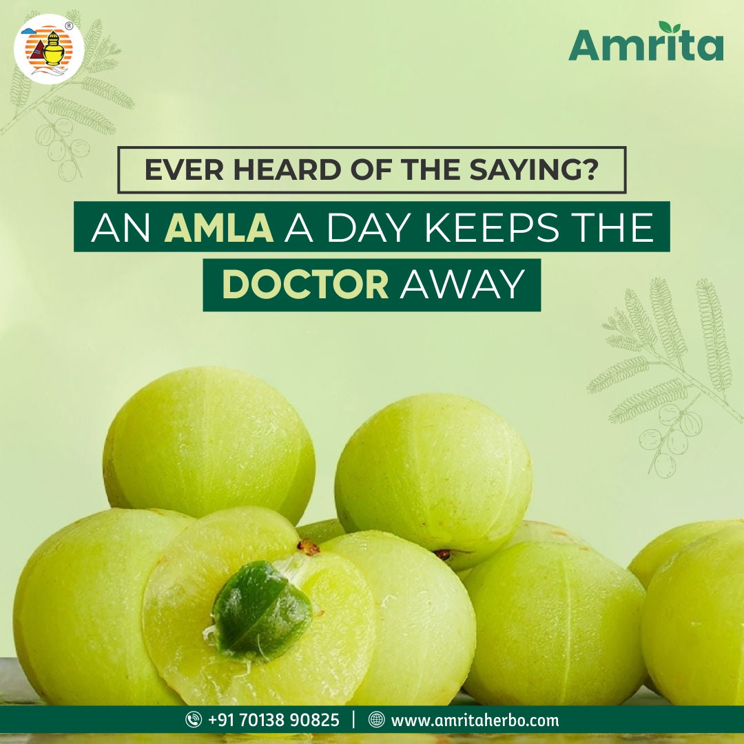 Amrita Amla Churna - 100gm