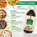 Dr. Patkar's ACV HRT GOLD | Apple Cider Vinegar with Arjuna, Curcumin, Ginger, Garlic & Lemon | 2X Formula Health Shot |Cholesterol Care| Immunity, Heart & Gut Support | Raw & Unfiltered (500 ML)