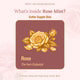 ĀRVA Rose Mist Hydrosol by Earthy Concepts | Steam-Distilled Pure Rose Water Toner & Refreshing Face Spray | 100 ml