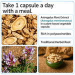 Zespo Astragalus Root 10:1 Extract 600 mg – 60 Capsules