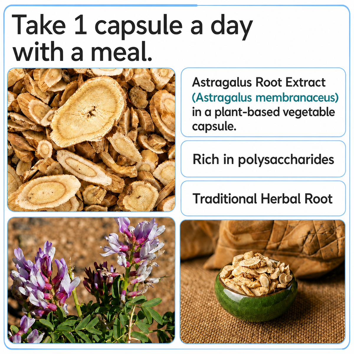Zespo Astragalus Root 10:1 Extract 600 mg – 60 Capsules