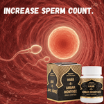 Cipzer Habb-E-Ambar Momyaee (Gold Coated) Pill - 10 Pills | Energy, Vitality, Nerve Strength & Male Wellness Tonic