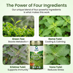 Organic Wellness Tulsi Green Tea Classic 100 grams Tin Pack