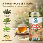 Organic Wellness Tulsi Ginger 100 grams Tin Pack