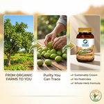 Organic Wellness Haritaki Capsules -  90 Capsules Bottle