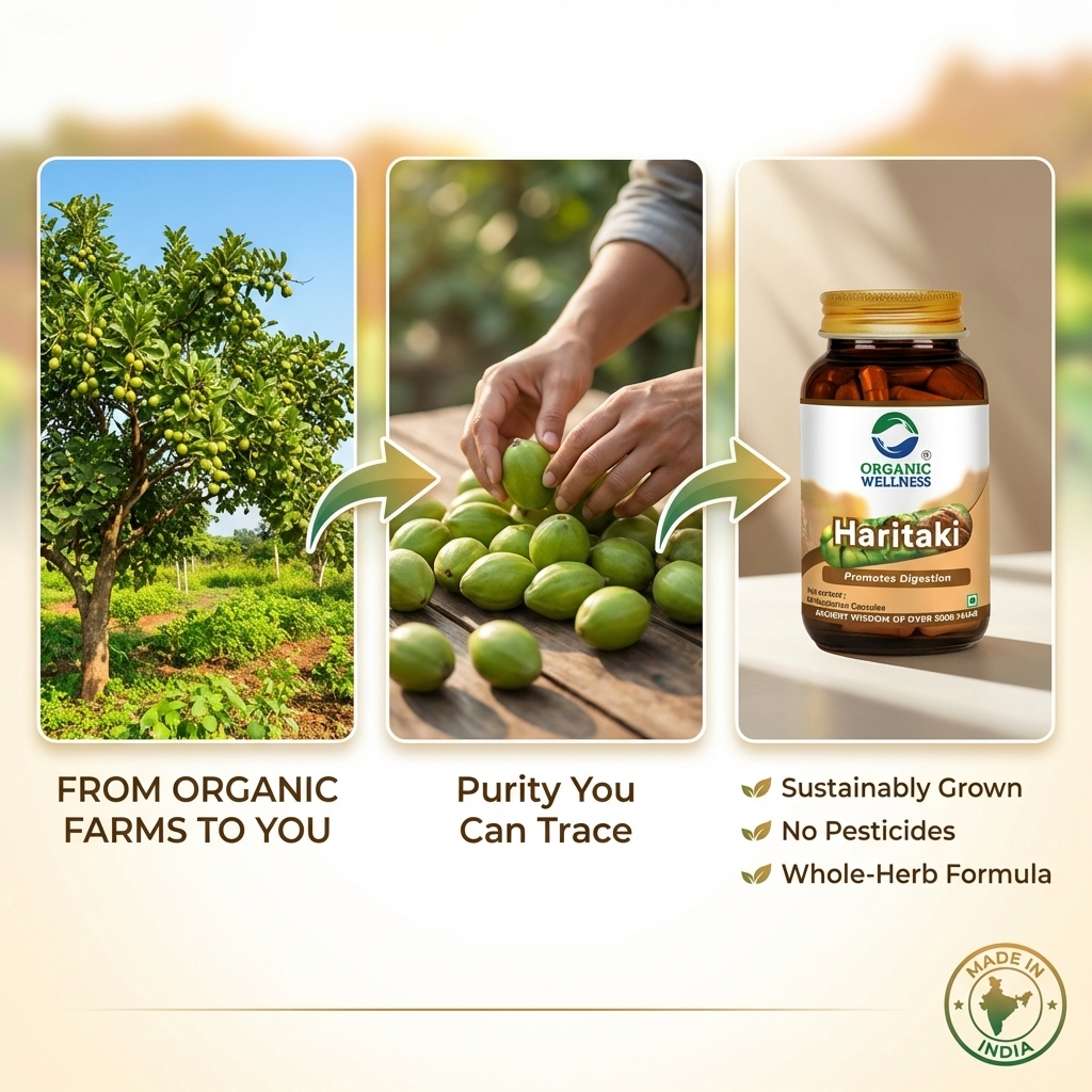 Organic Wellness Haritaki Capsules -  90 Capsules Bottle