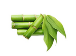 Dr. JPG Natural Banshlochan-250g / Tabashir/Bambusa Arundinacea/ISO & GMP Certified. (Pack Of 1)
