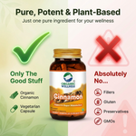 Organic Wellness Cinnamon Capsules -  90 Vegetarian Capsules