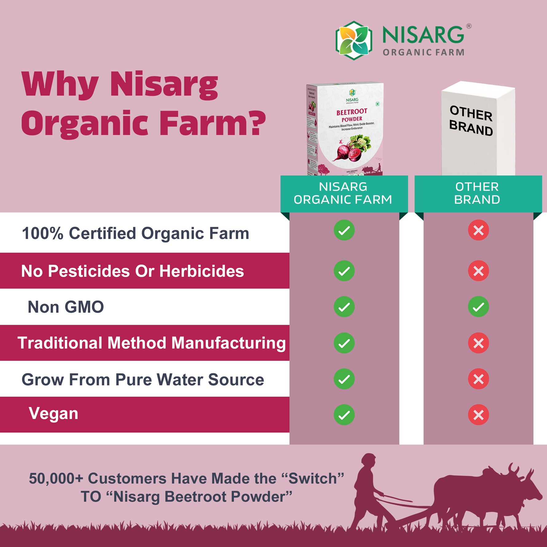 Nisarg Organic Farm Beet Root Powder