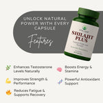 Vital Leaf Shilajit Plus Capsules – Ayurvedic Blend with Shilajit, Ashwagandha, Safed Musli & Gokshura – 60 Plant-Based Capsules – Natural Herbal Supplement