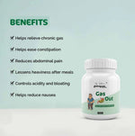Dr. Satnam’s Arogyam Ayurveda Gas Out Powder (100g) | Ayurvedic Digestive Relief Powder for Bloating, Acidity, Flatulence & Indigestion