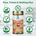 Organic Wellness Tulsi Ginger 100 grams Tin Pack