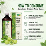 Swadeshi Haridwar Ayurved Bhumi Amla Juice 500 ml for Liver health Support, Body Detox & Daily Wellness.