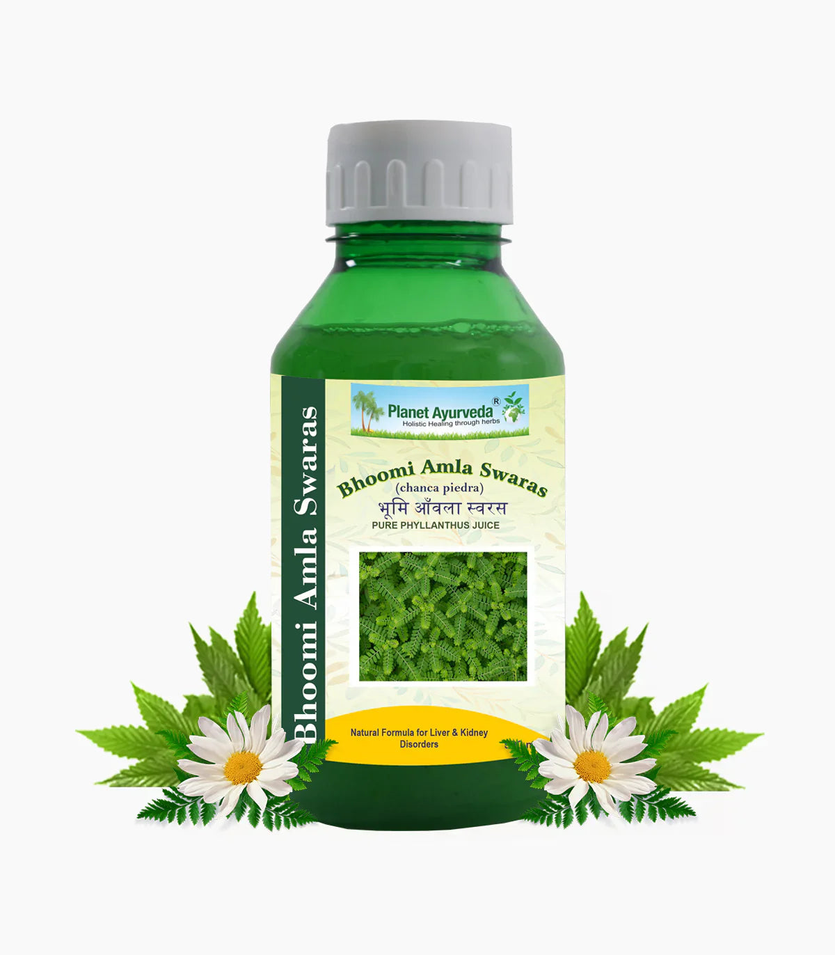 Planet Ayurveda Bhoomi Amla Swaras