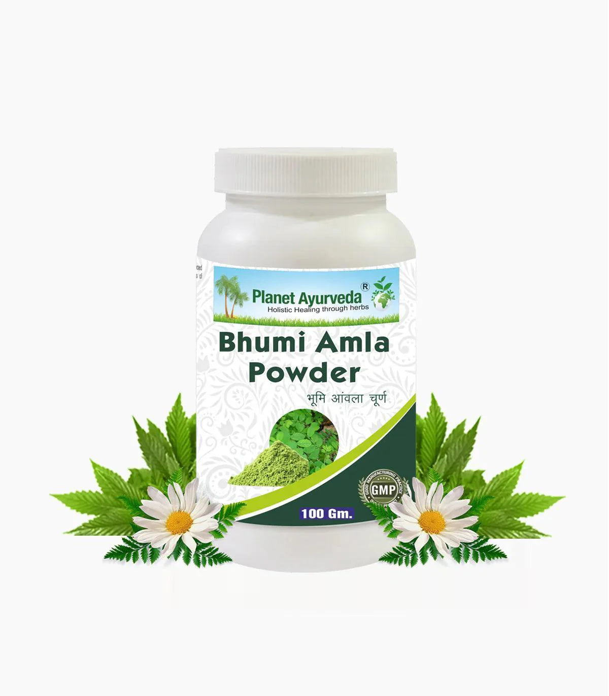 Planet Ayurveda Bhumi Amla Powder - 100gm Powder