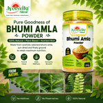 Jyotsvita Naturals Bhumi Amla Powder - 200g - Liver Detox & Kidney Support