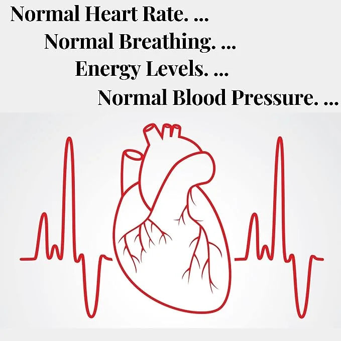 Healthally Bio Cardic Heart Tonic Syrup – Support Healthy Heart, Improve Blood Circulation Naturally