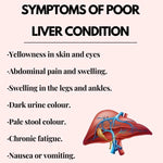 Healthally Biolive Syrup for Liver Support | Fatty Liver Detox Biolive Syrup 500 ml