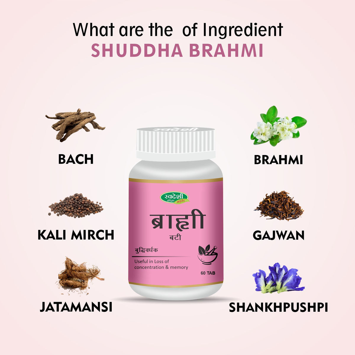 Pack of 2 Brahmi Vati 60 Tab for Support for Memory, Focus & Daily Wellness