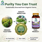 Organic Wellness Tulsi+ Capsules -  90 Capsules