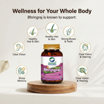 Organic Wellness Bhringraj Capsules -  90 Vegetarian Capsules