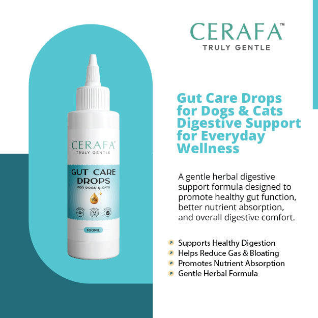 Cerafa Gut Care Drops for Dogs & Cats | Ayurvedic Herbal Digestive Support for Pets | With Triphala & Ginger | 100 ml