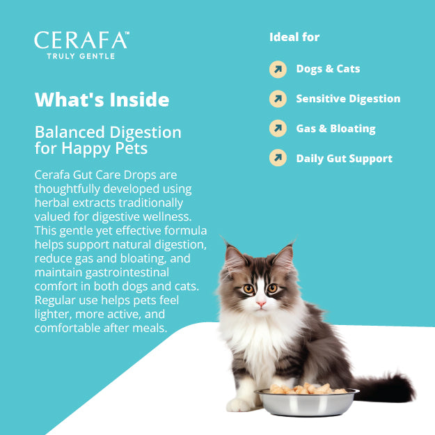 Cerafa Gut Care Drops for Dogs & Cats | Ayurvedic Herbal Digestive Support for Pets | With Triphala & Ginger | 100 ml