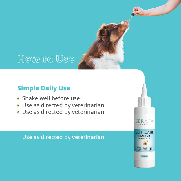 Cerafa Gut Care Drops for Dogs & Cats | Ayurvedic Herbal Digestive Support for Pets | With Triphala & Ginger | 100 ml