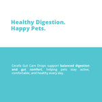 Cerafa Gut Care Drops for Dogs & Cats | Ayurvedic Herbal Digestive Support for Pets | With Triphala & Ginger | 100 ml