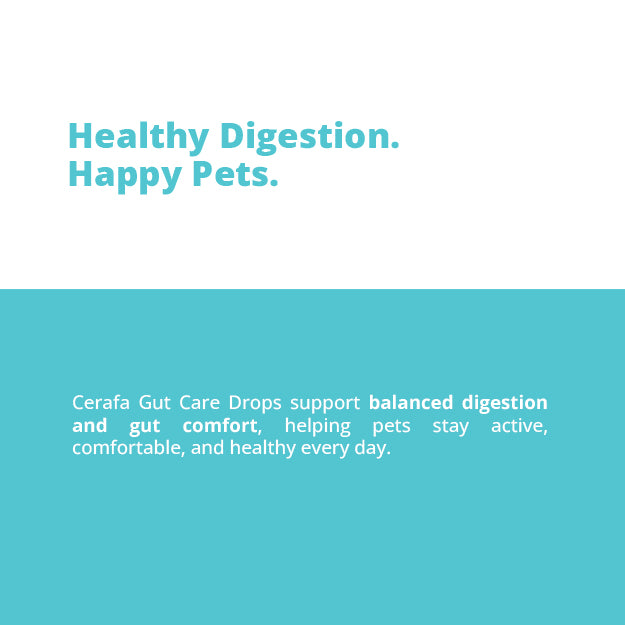 Cerafa Gut Care Drops for Dogs & Cats | Ayurvedic Herbal Digestive Support for Pets | With Triphala & Ginger | 100 ml