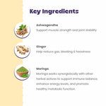 Cerafa Immunity Drops for Dogs & Cats | Ayurvedic Herbal Immunity & Vitality Support for Pets | With Ashwagandha & Moringa | 100 ml