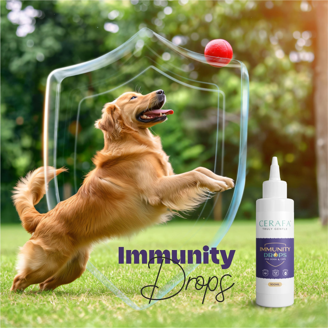 Cerafa Immunity Drops for Dogs & Cats | Ayurvedic Herbal Immunity & Vitality Support for Pets | With Ashwagandha & Moringa | 100 ml