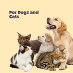 Cerafa Immunity Drops for Dogs & Cats | Ayurvedic Herbal Immunity & Vitality Support for Pets | With Ashwagandha & Moringa | 100 ml