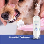 Cerafa Natural Gel Toothpaste for Dogs & Cats | Non-Foaming Herbal Pet Toothpaste for Plaque & Fresh Breath | Mint | 50 g