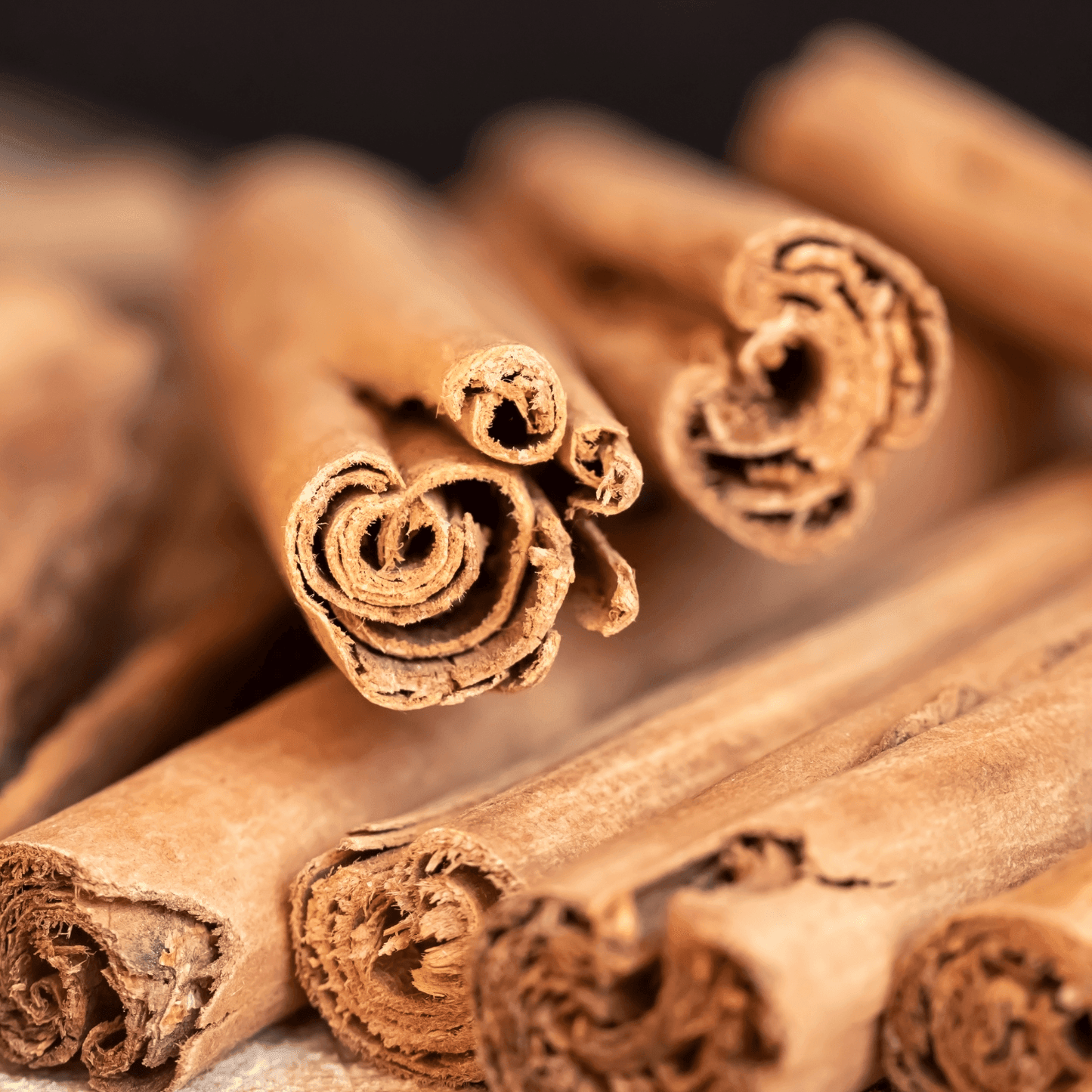 Nxtgen Ayurveda Ceylon Cinnamon sticks - 50 gms (Pack of 4)