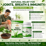 Cipzer Halwa Gheekwar - 500gm | Joint Health, Arthritis Relief, Digestive Support & Immunity