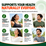 Pure Nutrition Liposomal Curcumin with Ginger Extract, 30 Capsules | Antioxidant & Joint Support